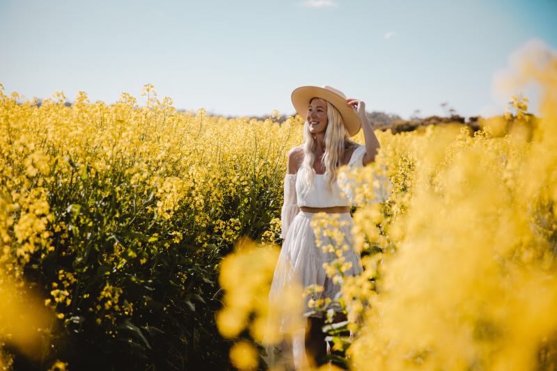 Canola Fields York Avon Valley
