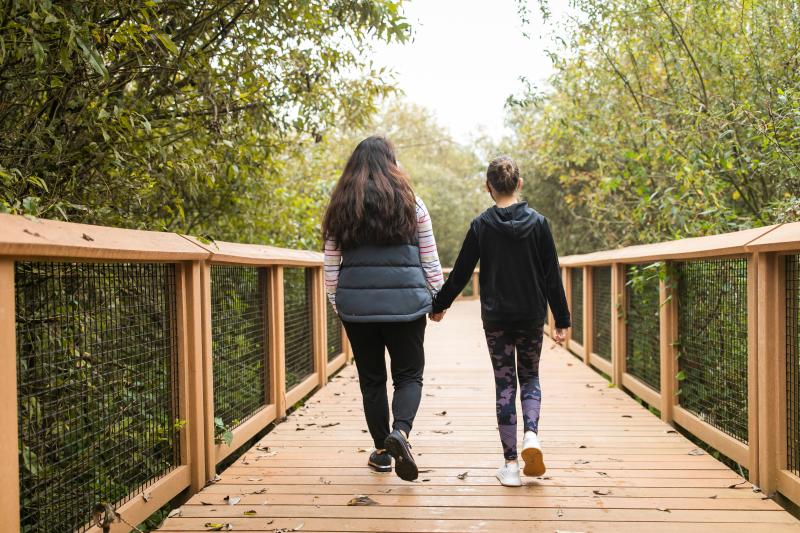 Springbrook Boardwalk at the Black River Riparian Forest
