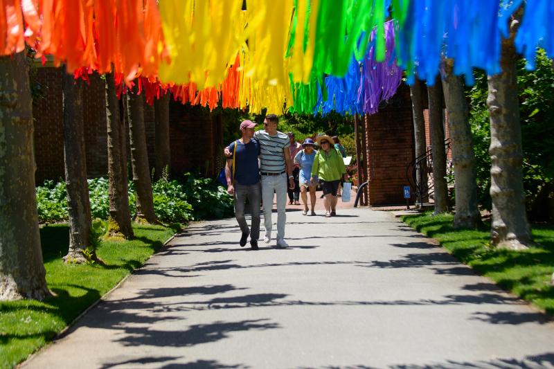 A couple walks through rainbow ribbons hung between the trees at Filoli
