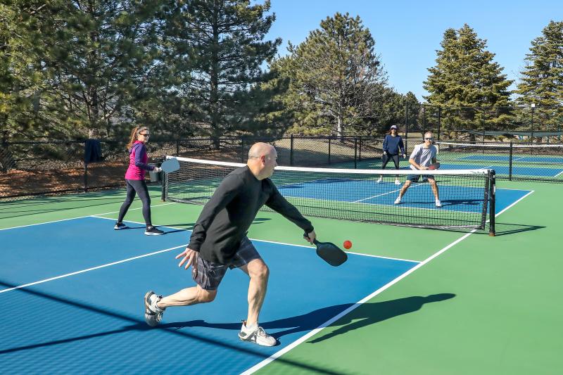 Pickleball Court