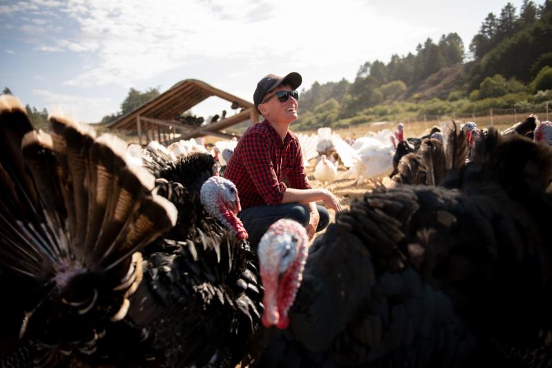 Root Down Farm owner hanging out with their turkeys