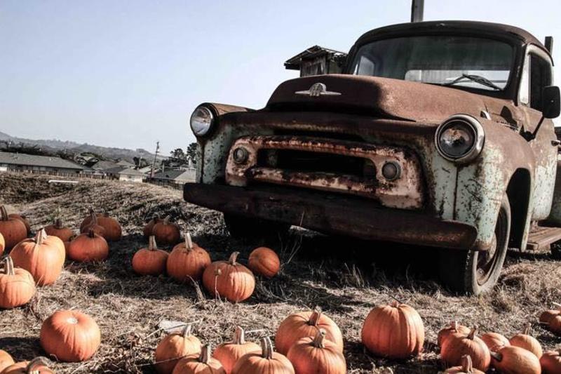 Vintage truck at the Pumpkin Patch in Andreotti Family Farm