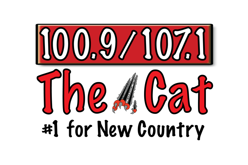 100.9 The Cat Logo