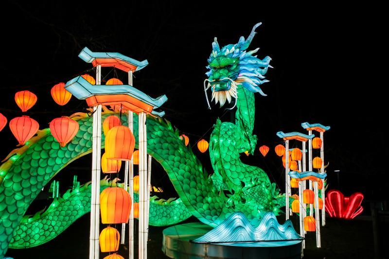 Zoo Luminate Dragon