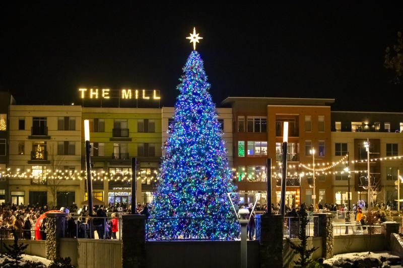 Winterfest Christmas