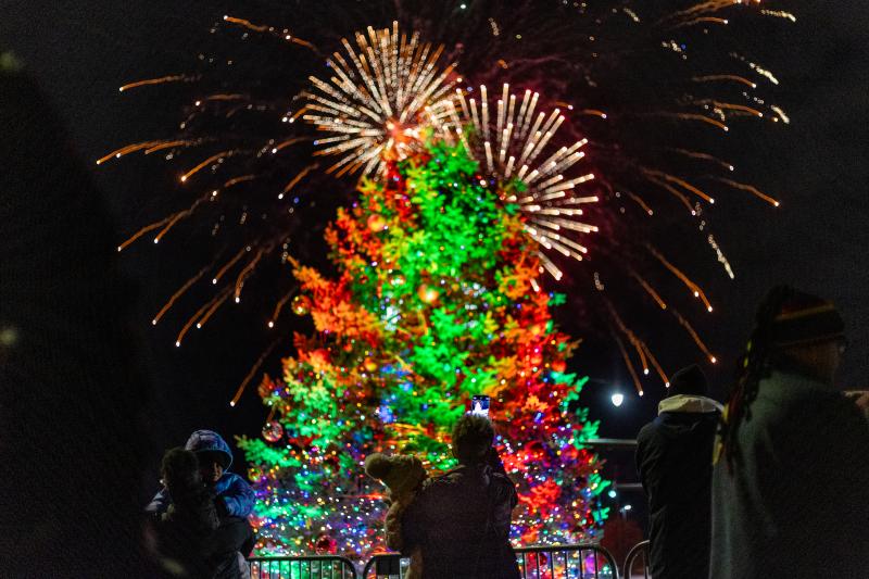 Christmas Tree Lighting