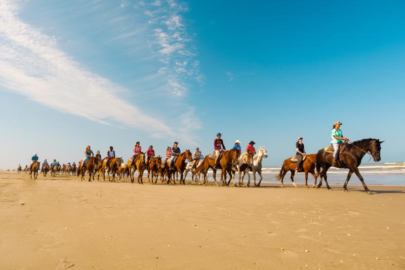 Horses on the Beach