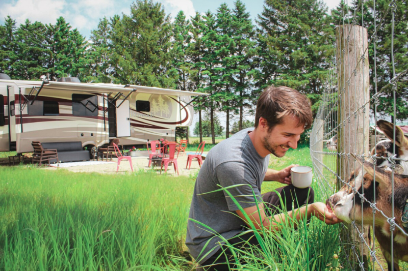 Man feeding farm life in front of RV.