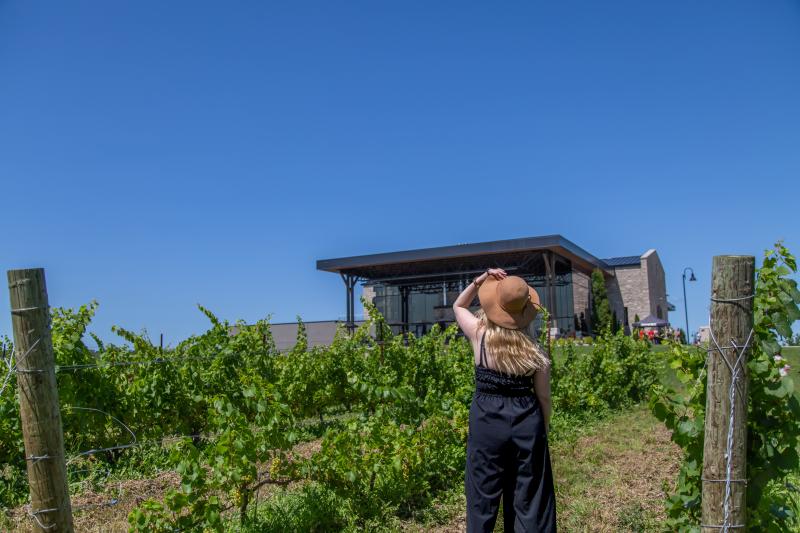 Woman in vineyard