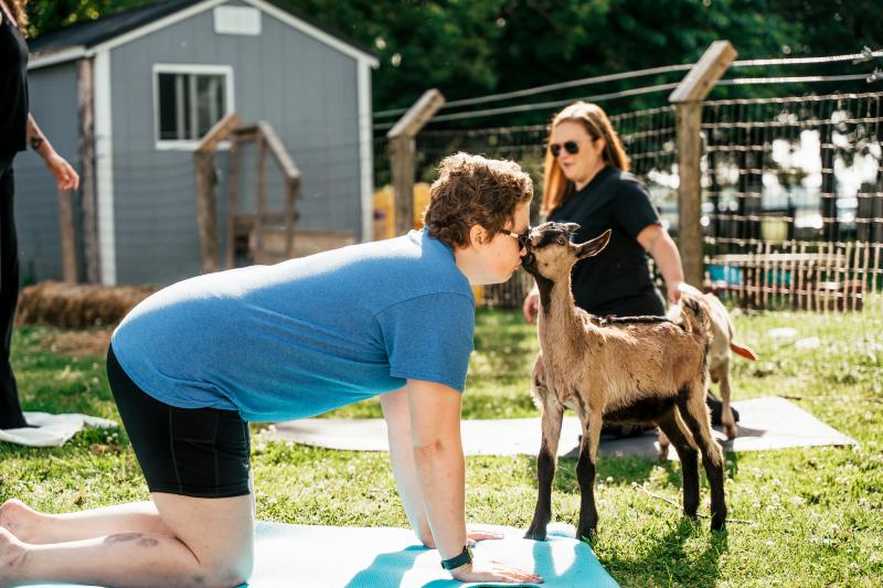 Charlotte's Freedom Farm