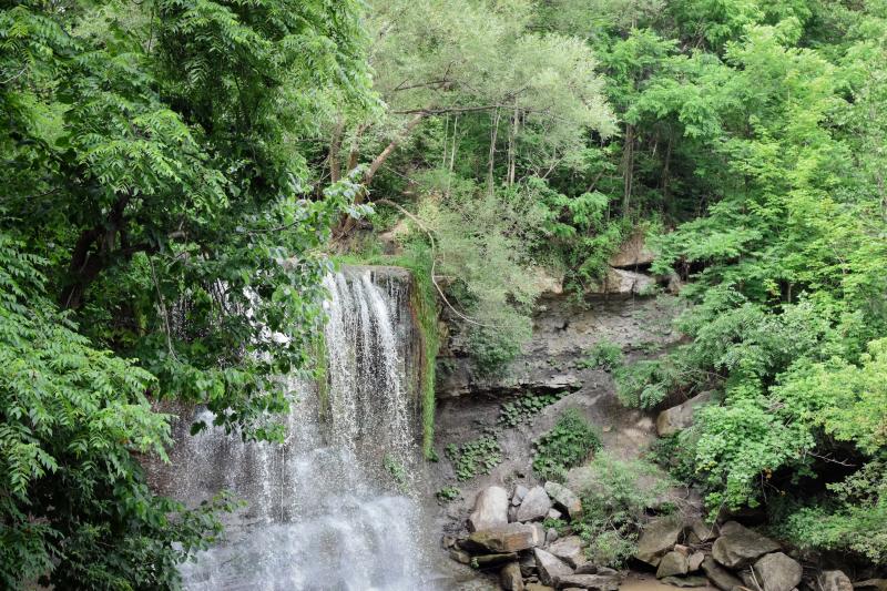A scenic waterfall cascades over a rocky ledge, surrounded by lush green foliage and trees.