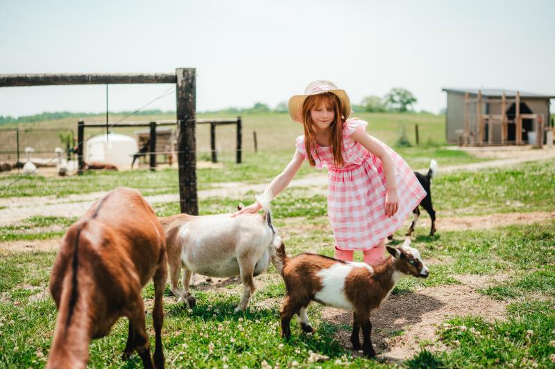 girl playing with baby goats