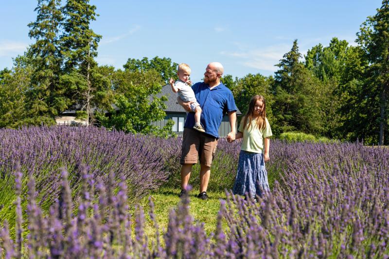 A father walks through rows of blooming lavender while holding a toddler and holding hands with a young girl on a sunny day.