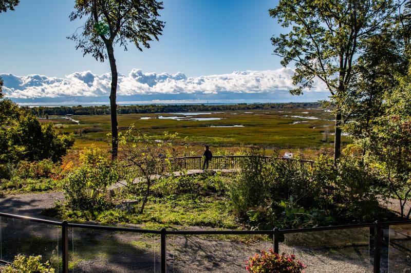 Overlooking marsh at Long Point Eco