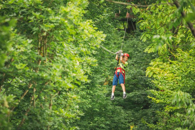 Ziplining at Long Point Eco-Adventures