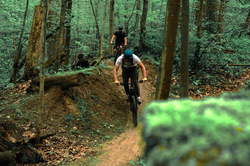 Mountain Biking in Turkey Point