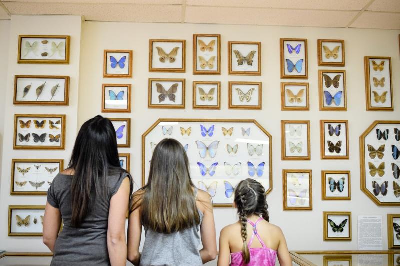 group looking at exhibit