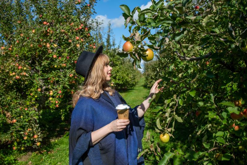 Cider Keg Farm Market