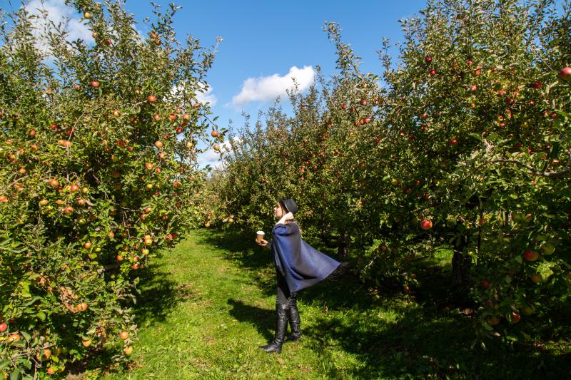 woman in orchard