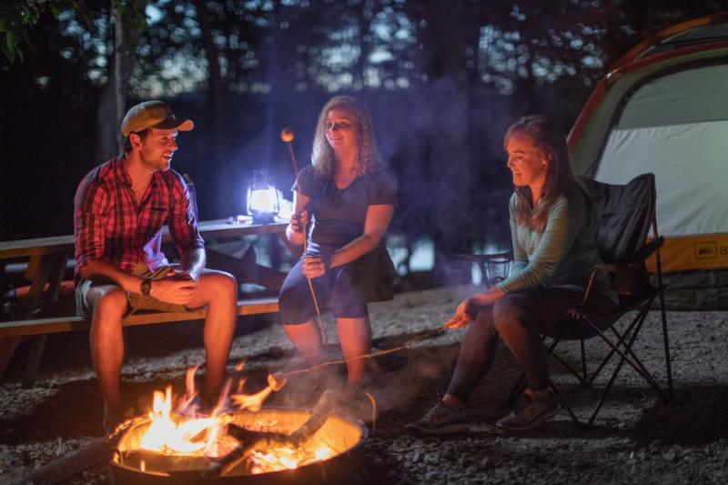 friends gathered around a campfire roasting marshmallows