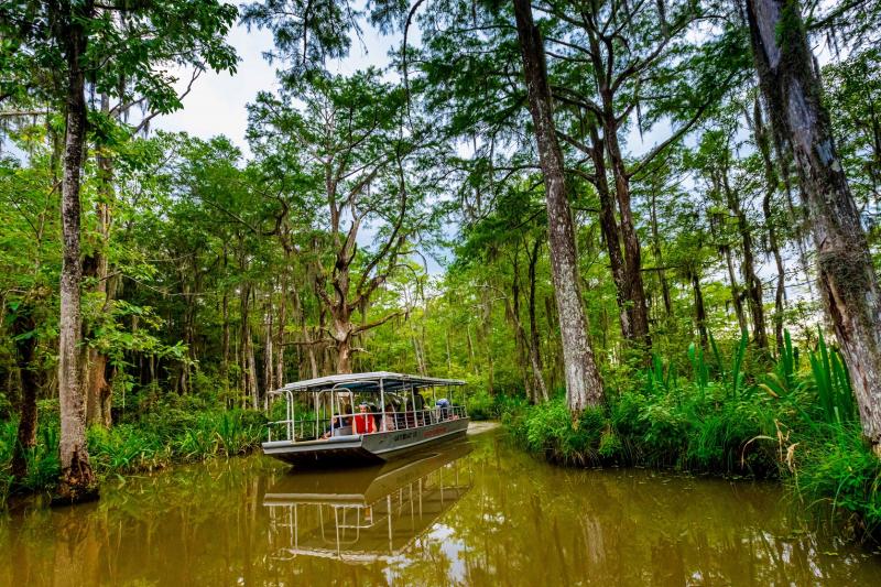 Honey Island Swamp Tour