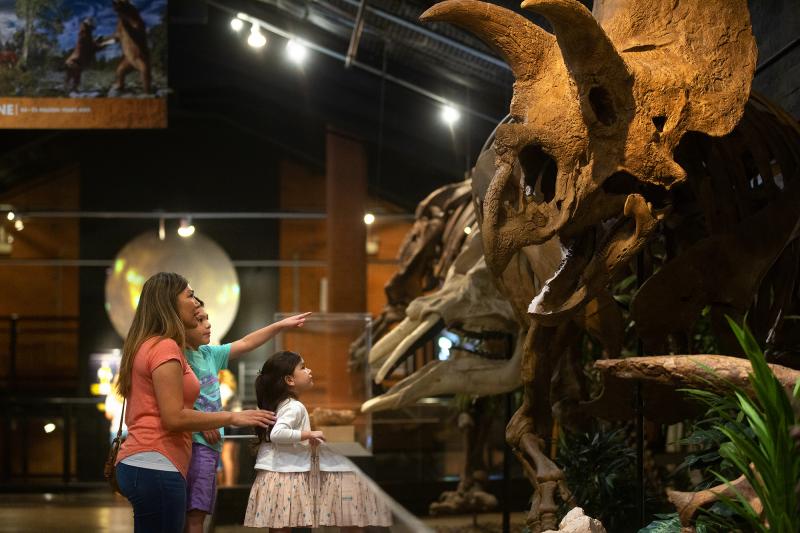 Looking at dinosaur bones in the Paleontology Exhibit