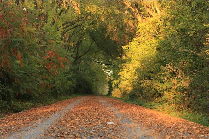 Rail-Trail-Fall