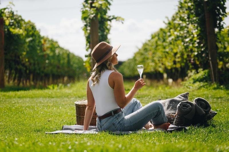 Picnic in the vines - Tinwood