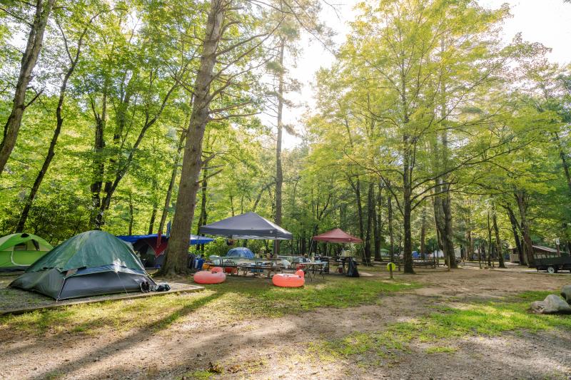 Campgrounds and RV Parks