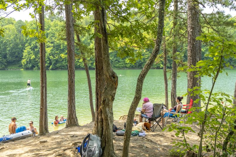 Lake Swimming