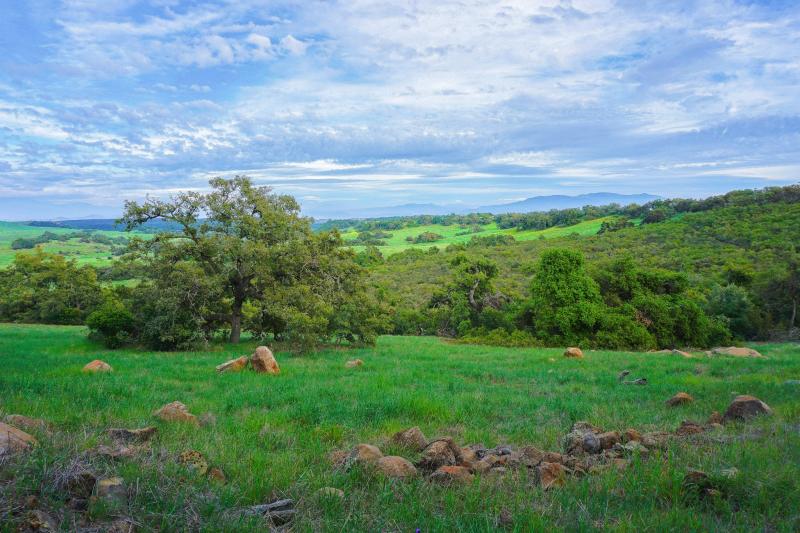 Santa Rosa Plateau in Spring
