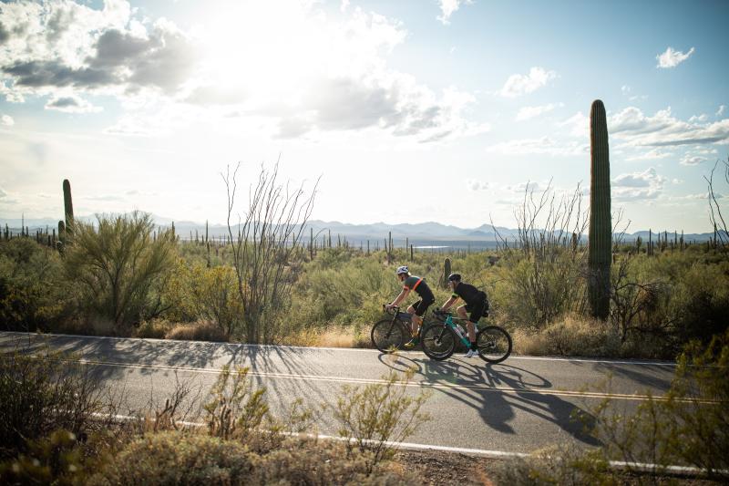 Road Biking in Tucson Mountain Park near Saguaro National Park