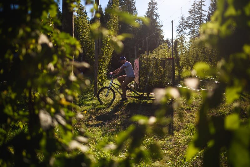 cycling sunshine coast