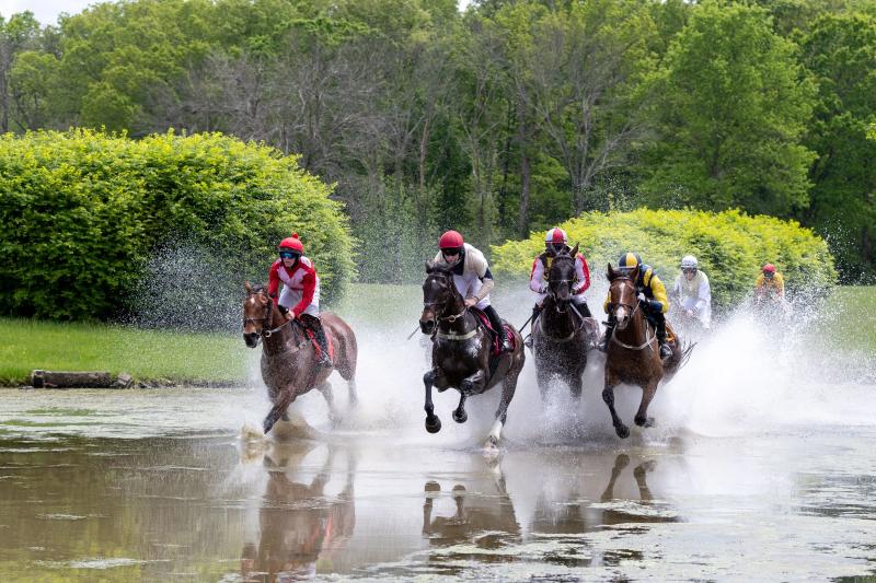 Virginia Gold Cup