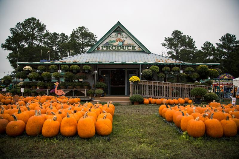 a pumpkin field in front of a farm house