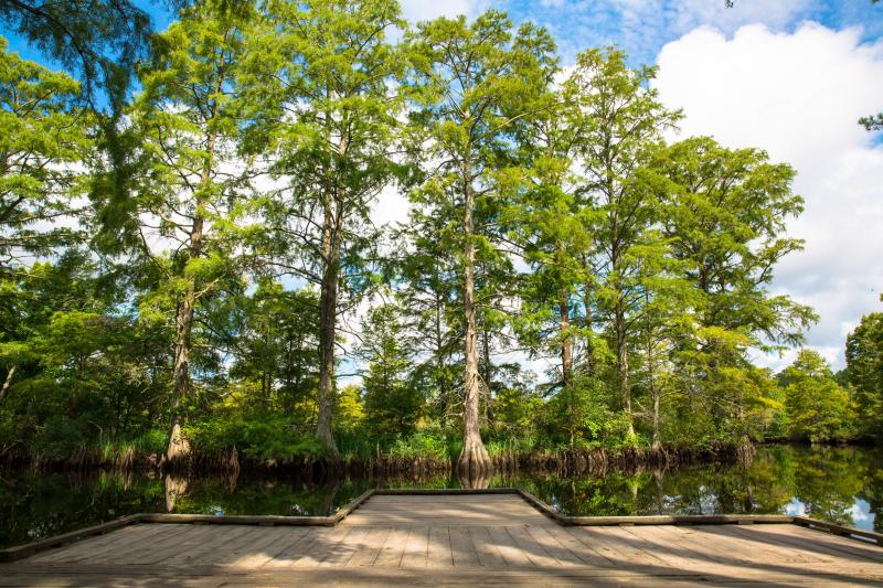 Munden Point Park.jpg