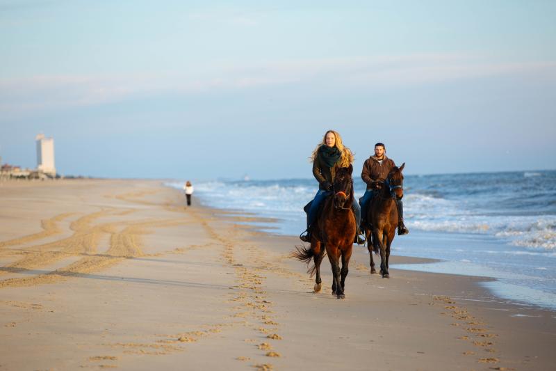 two people riding horseback along ocean
