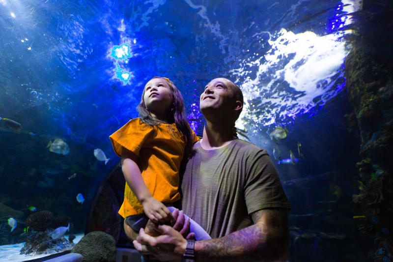 man holding a girl and looking up with an aquarium tank in the background