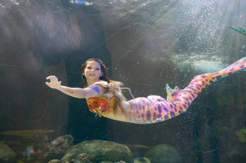 Mermaid swimming in open water with sun glowing through the surface.