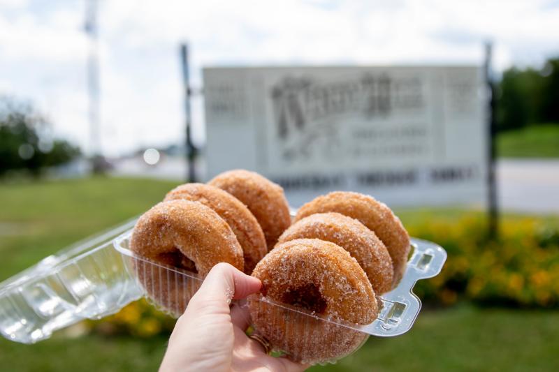A hand holding a container of a six donuts with a blurry sign in the background
