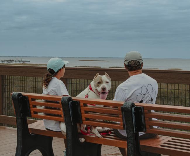 Humane Society dog and volunteers sitting on Salinas Park Boardwalk Bench looking out onto the Bay
