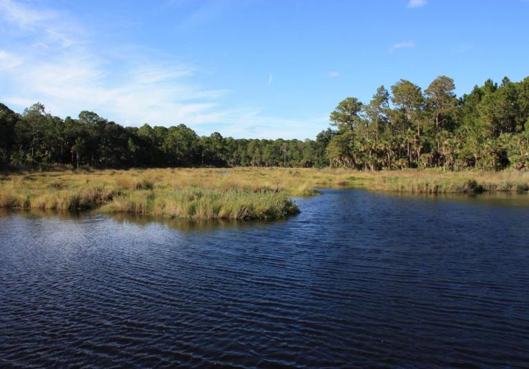 Bulow Creek State Park