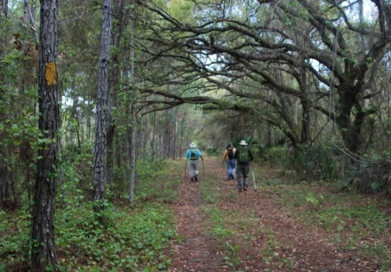 Deep Creek Preserve