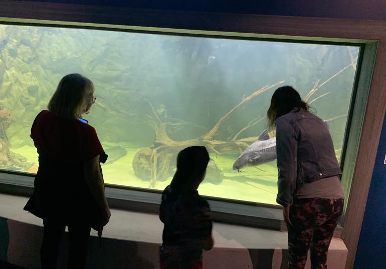 Daytona Aquarium tank