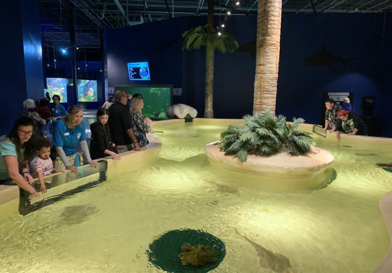 Ray touch tank