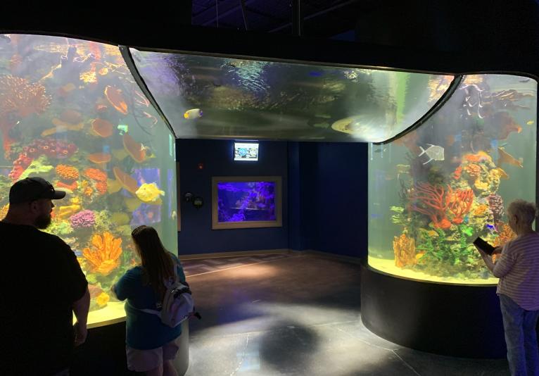 Daytona Aquarium & Rainforest Adventure Daytona Beach, FL 32114