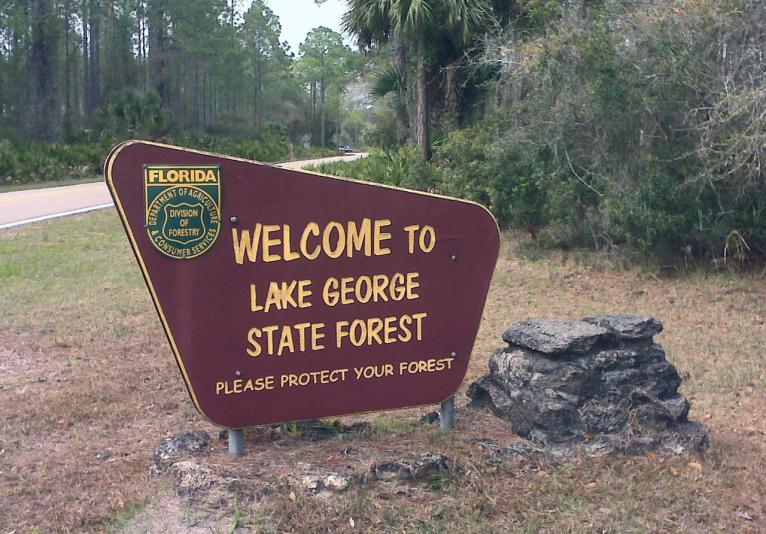 Lake George State Forest