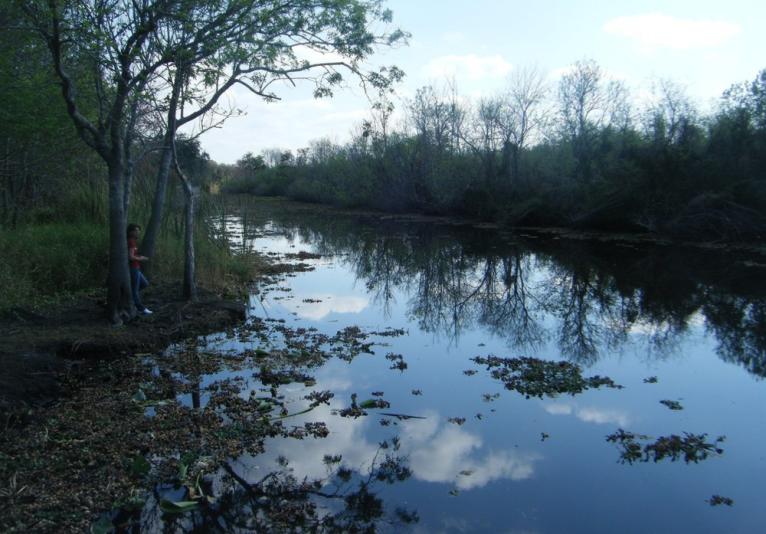 Mariner's Cove Park