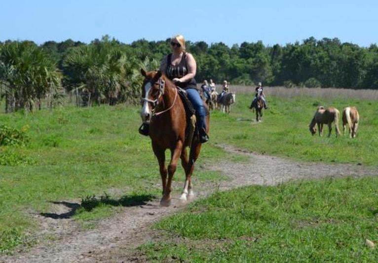 Shenandoah Stables