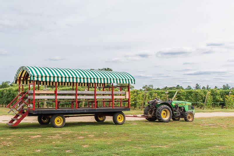 Tougas Family Farm, Northborough